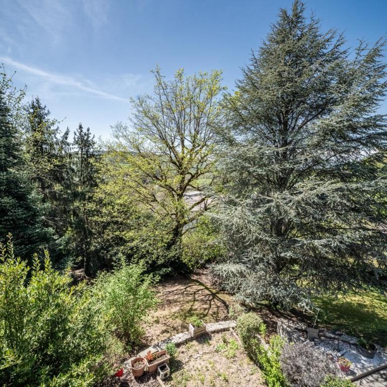 Le Chalet Des Pesettes - Chambre Double - Vue sur Montagne - 11