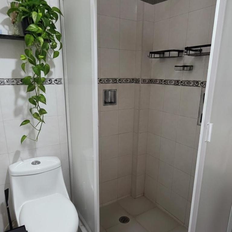 Bello departamento - Apartamento - 5