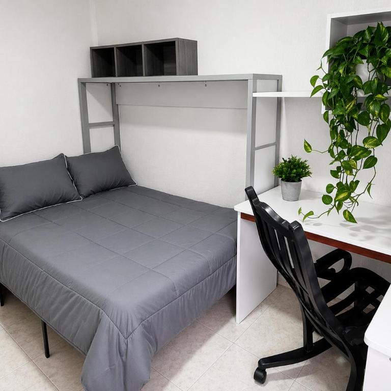 Bello departamento - Apartamento - 7