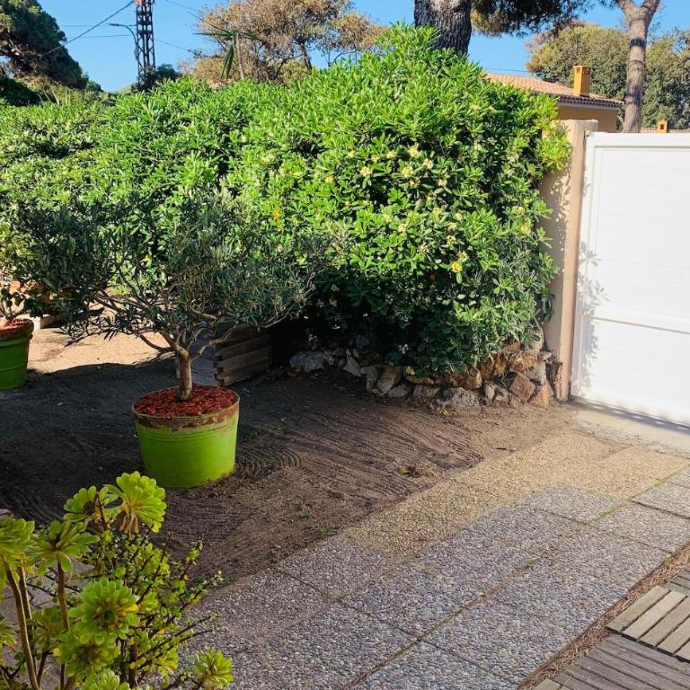 Un petit coin de paradis à La Capte - Haus mit 1 Schlafzimmer - 14