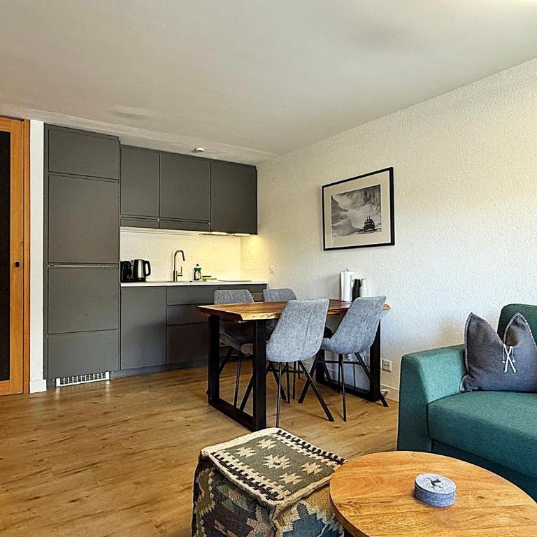 AP66 - Sport, Natur Erholung, Ski & Kite, 45m2 - Apartment mit 1 Schlafzimmer - 15