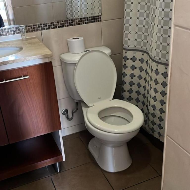 Dpto a Pasos del Palacio de la Moneda - One-Bedroom Apartment - 7
