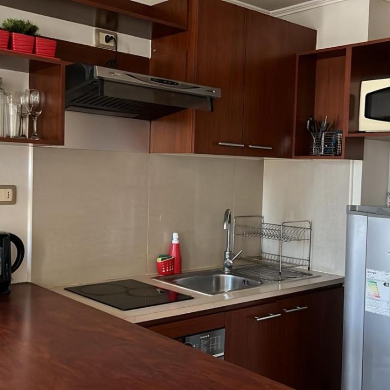 Dpto a Pasos del Palacio de la Moneda - One-Bedroom Apartment - 2