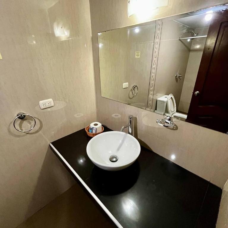 Hotel Palmas Reales - Habitación Individual Estándar - 5