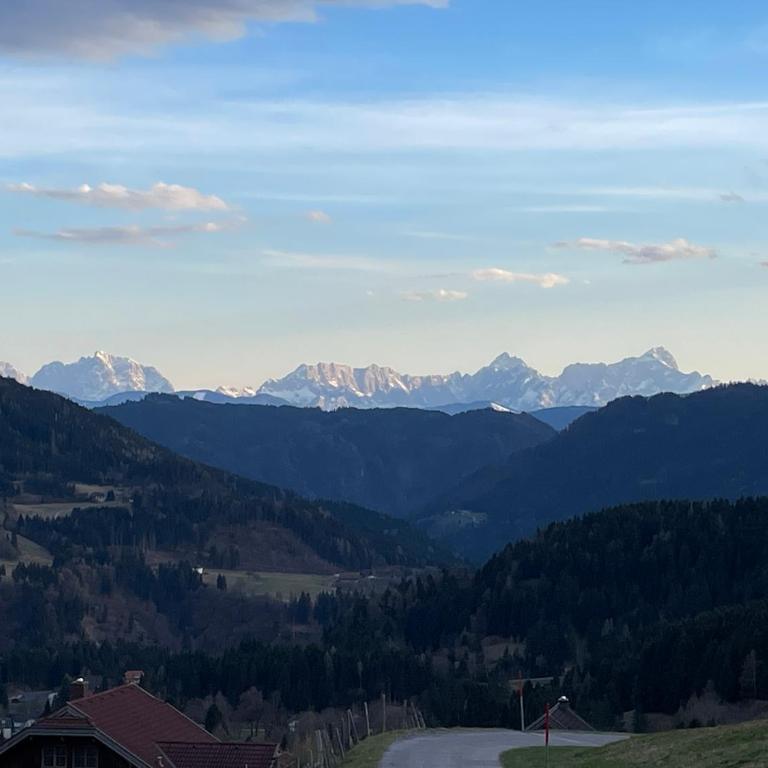 Ferienhaus Arriach Bergzauber - Ferienhaus - 19
