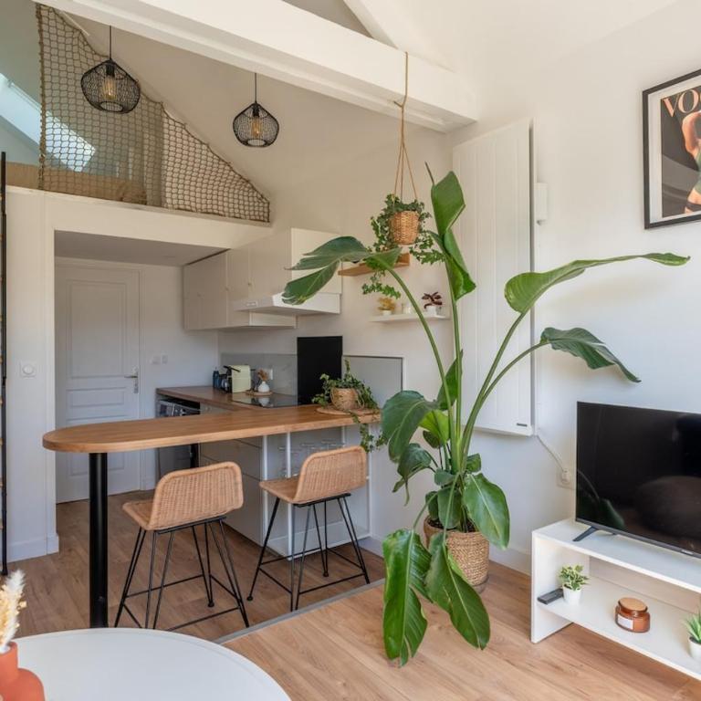 Aurore - Les Terrasses de la Loire - Apartamento de 1 dormitorio - 2