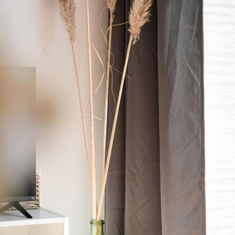 Aurore - Les Terrasses de la Loire - Apartamento de 1 dormitorio - 39