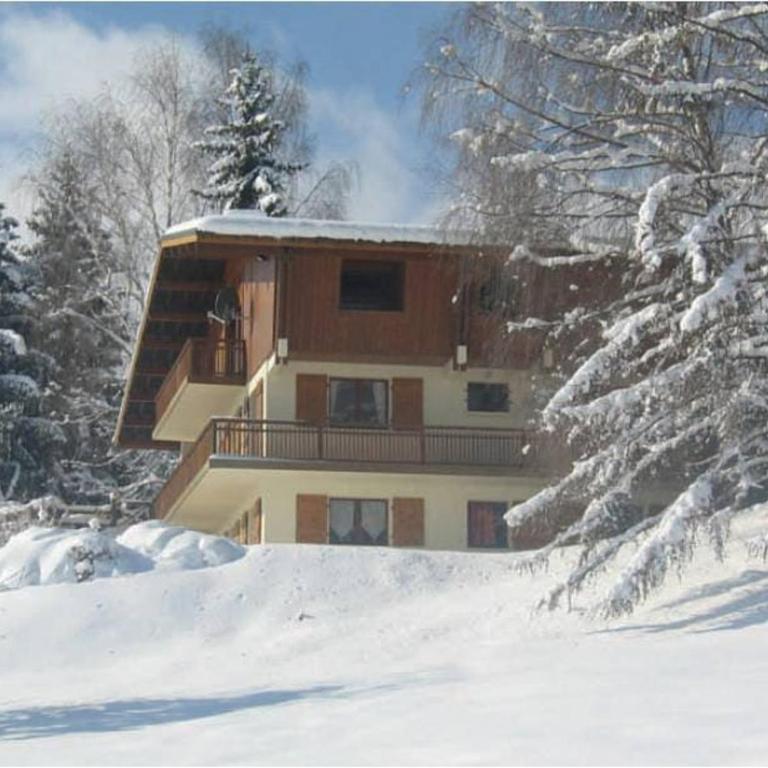 Les Praz d'Arvillon Mont Blanc View Combloux - Appartement avec Vue - 33
