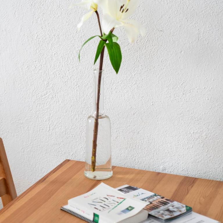 Charming Spacious Albayzin Apartment - Apartment - 24