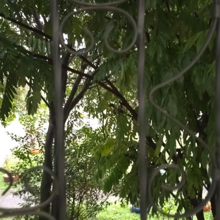 Tú alojamiento en Villavicencio, cerca a todo, siempre agua - One-Bedroom Apartment - 20