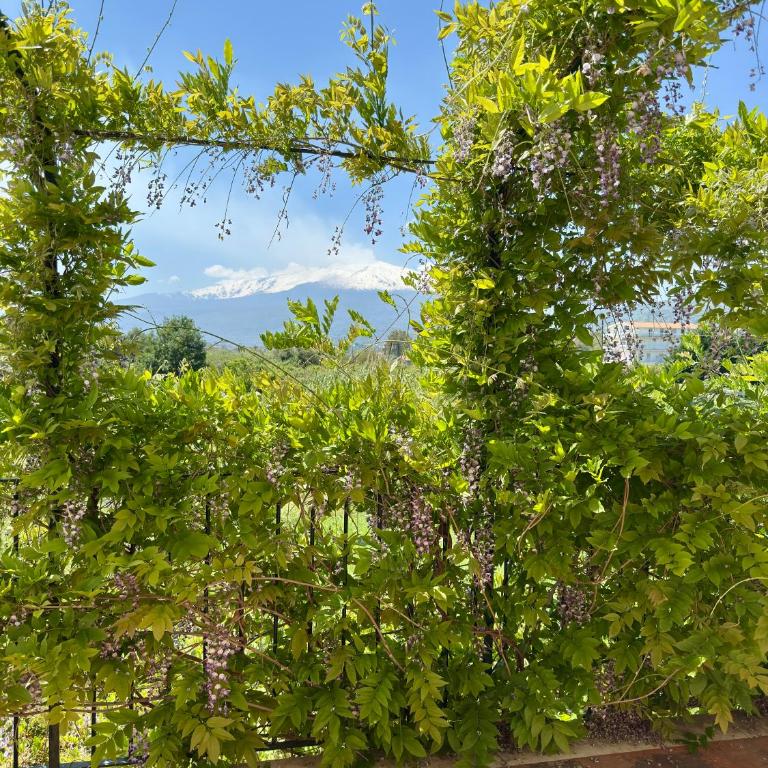 Villa Nadira - Monolocale Superior - 23