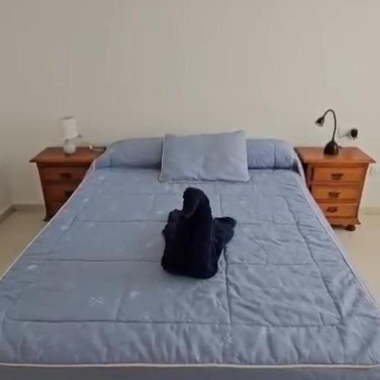 PISO TEATINOS UNIVERSITY CITY - Apartment - 9