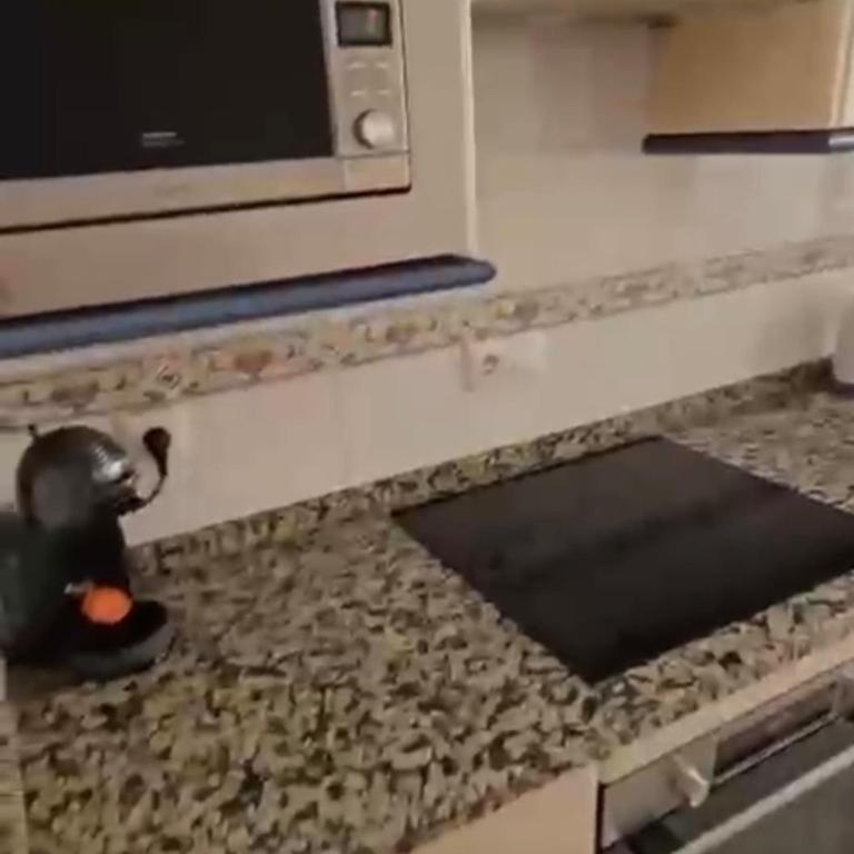PISO TEATINOS UNIVERSITY CITY - Apartment - 5