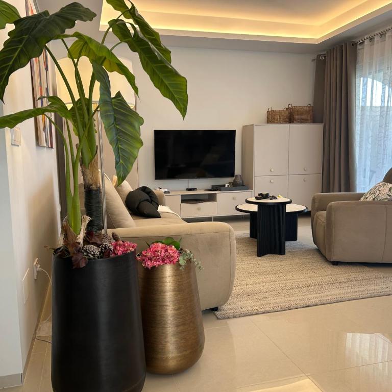 Apartment Sol y Mar - Rooftop Terrace, Private Pool - Adhara Residence - Appartement 2 Chambres - 4