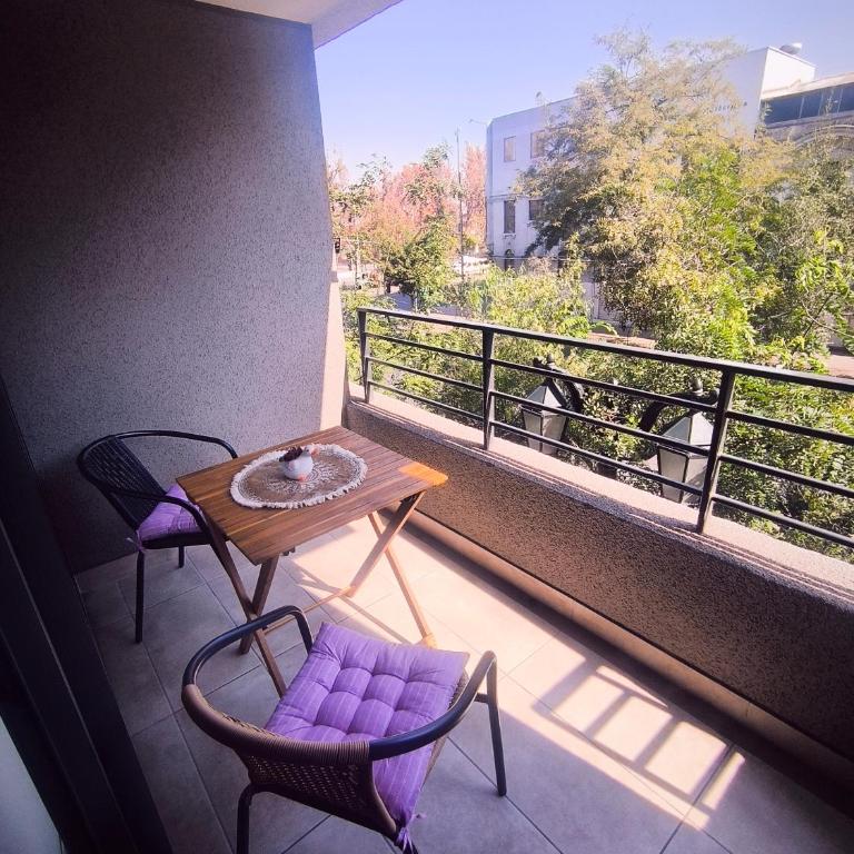 Departamento en Santiago - One-Bedroom Apartment - 19