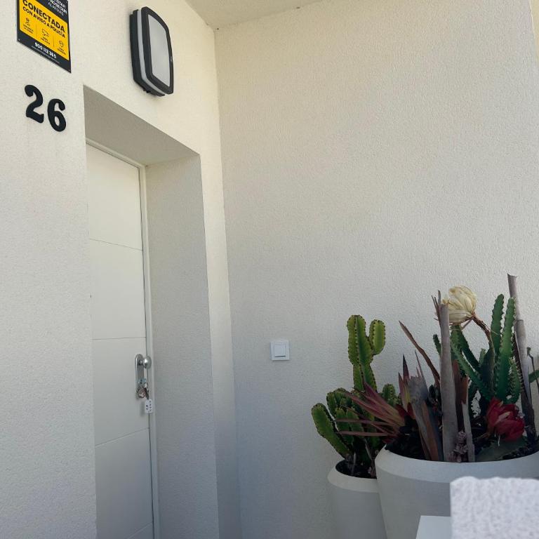 Apartment Sol y Mar - Rooftop Terrace, Private Pool - Adhara Residence - Appartement 2 Chambres - 17