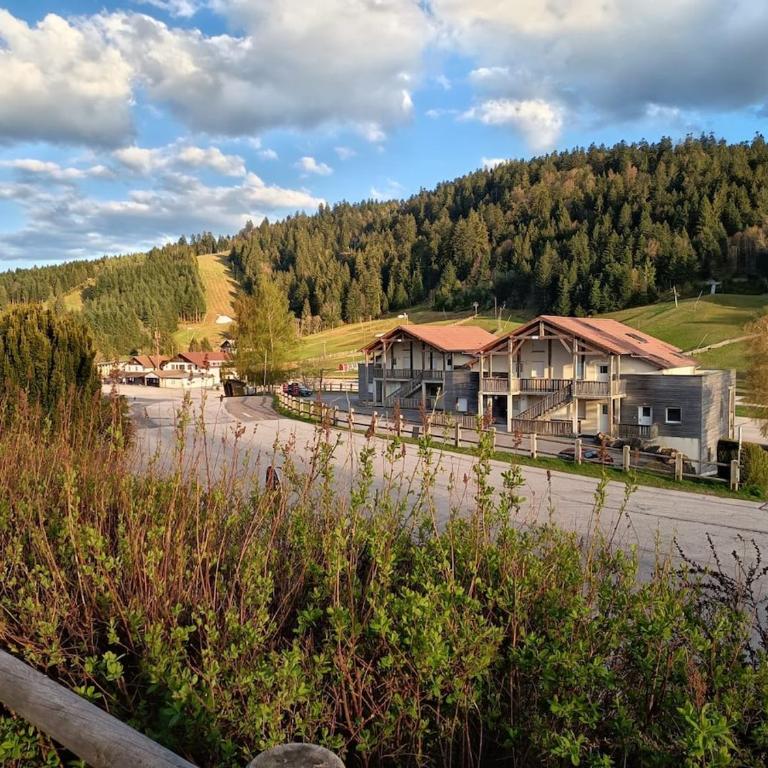 Duplex Étoilé Tout Confort Aux Pieds Des Pistes - Gérardmer - Appartement avec Vue sur la Montagne - 1
