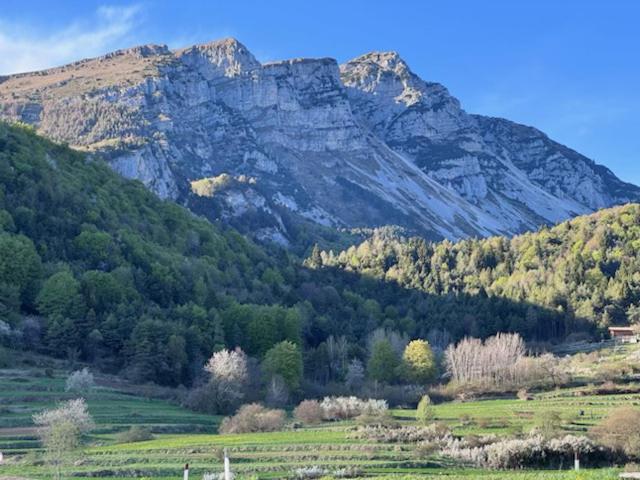 Ca' del Ciliegio Pra dal Lac - Appartement 1 Chambre - 23