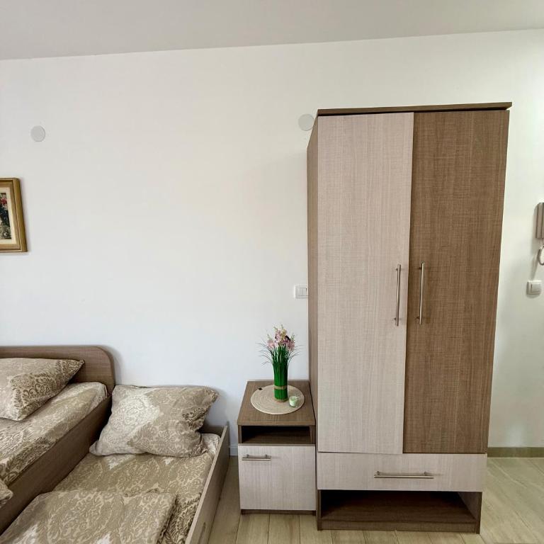 Studio Dimitrije 14 - Apartman sa 1 Spavaćom Sobom - 29