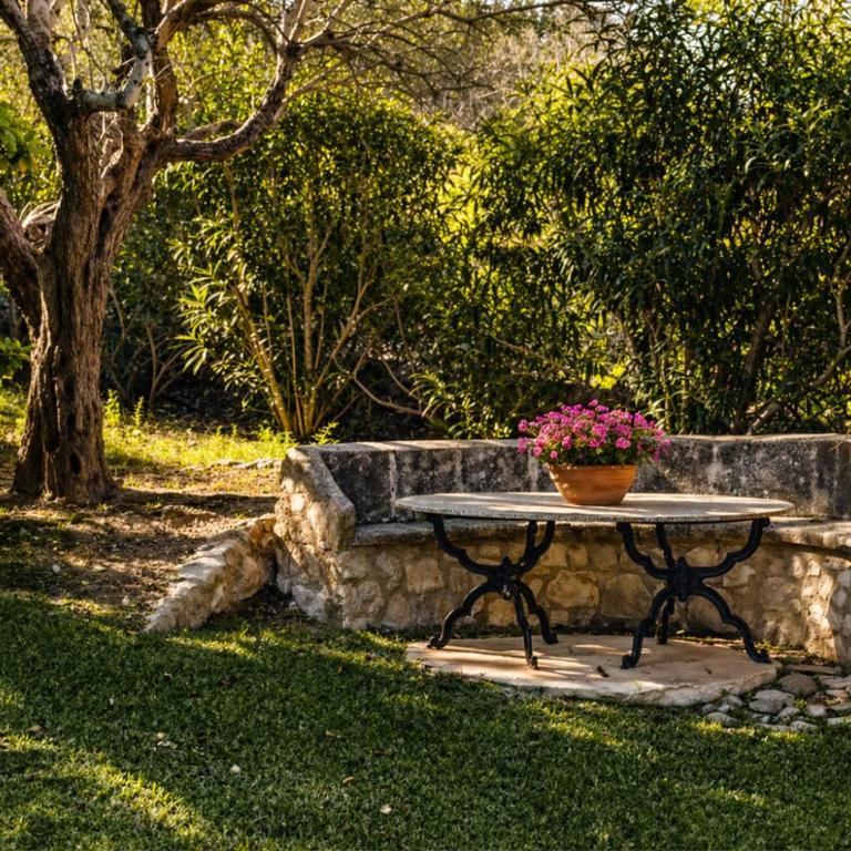 Can Gallardo den Fuster by Mallorca North Villas - Villa con piscina privada - 6