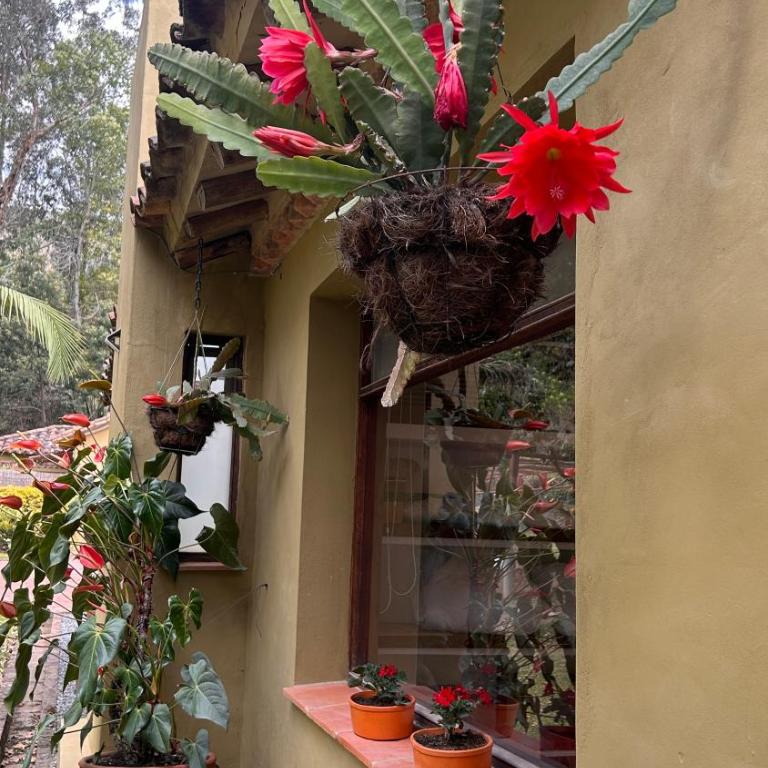 Casas del Viento - Three-Bedroom House - 45