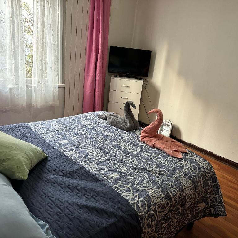 Hostal Gloria 2 poniente 333 casa 14 - Standard Double Room with Shared Bathroom - 3