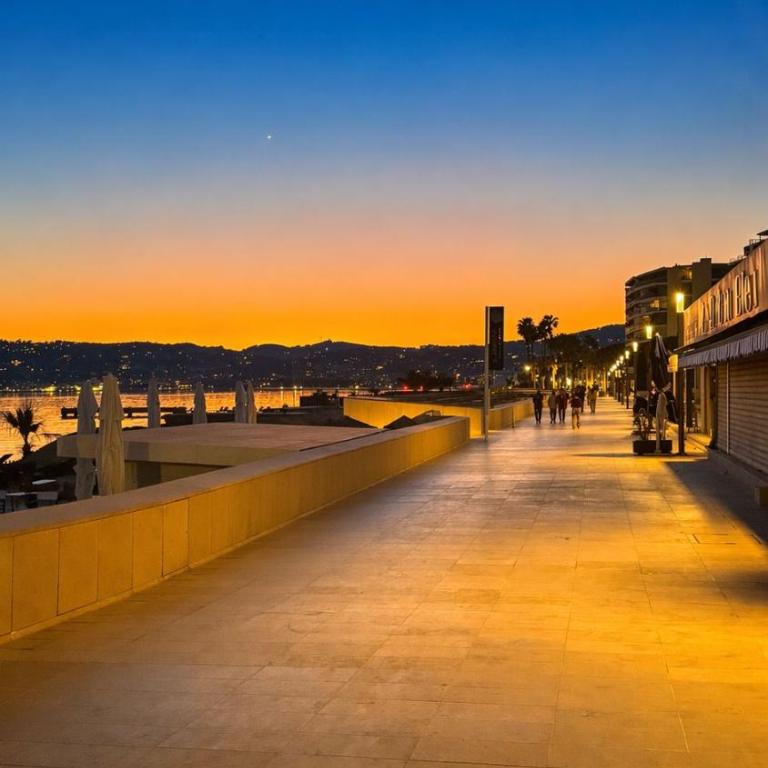 Riviera Beach Juan les Pins 300m plage avec terrasse - Appartement 1 Chambre - 25