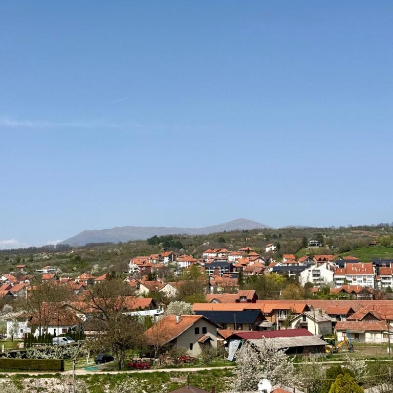 Studio Dimitrije 15 - Apartman sa 1 Spavaćom Sobom - 6