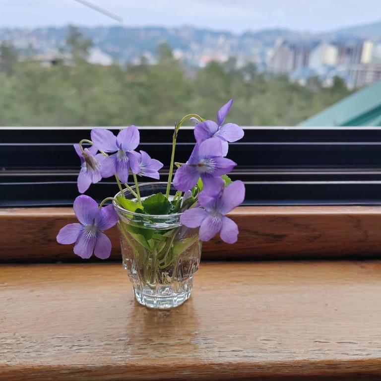 Apartman Kućazaodmor Дом для отдыха - Apartman sa 1 Spavaćom Sobom - 3