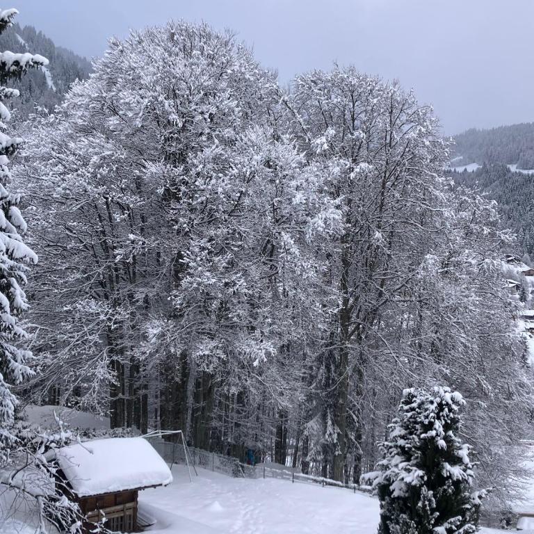 T4 dans un chalet près des pistes - Appartamento con 3 Camere da Letto - 18