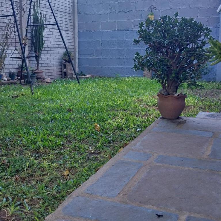 La casita de Susi - Apartamento de 1 dormitorio - 6