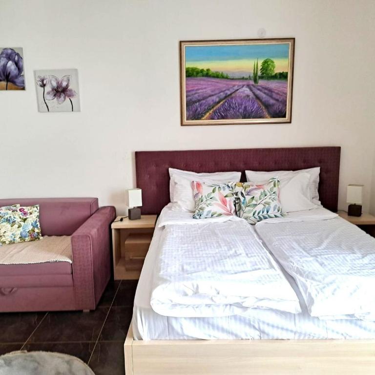 Zlatibor Hills Kneginja - One-Bedroom Apartment - 5