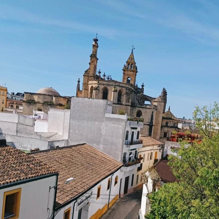 Spacious house in Santiago - Between wines and flamenco - Casa de 4 dormitorios - 16