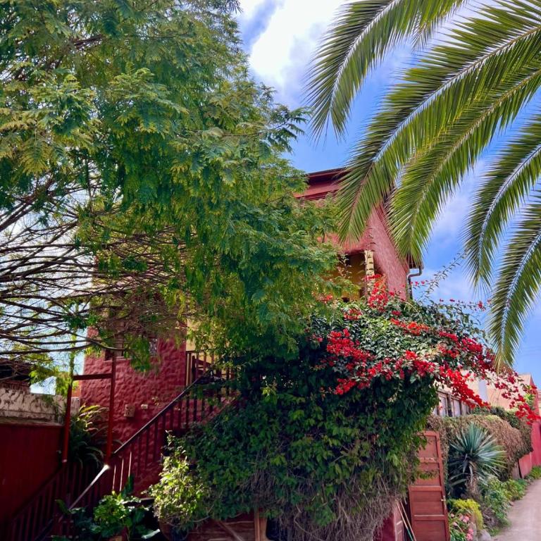 Hostal El Punto - Triple Room with City View - 1