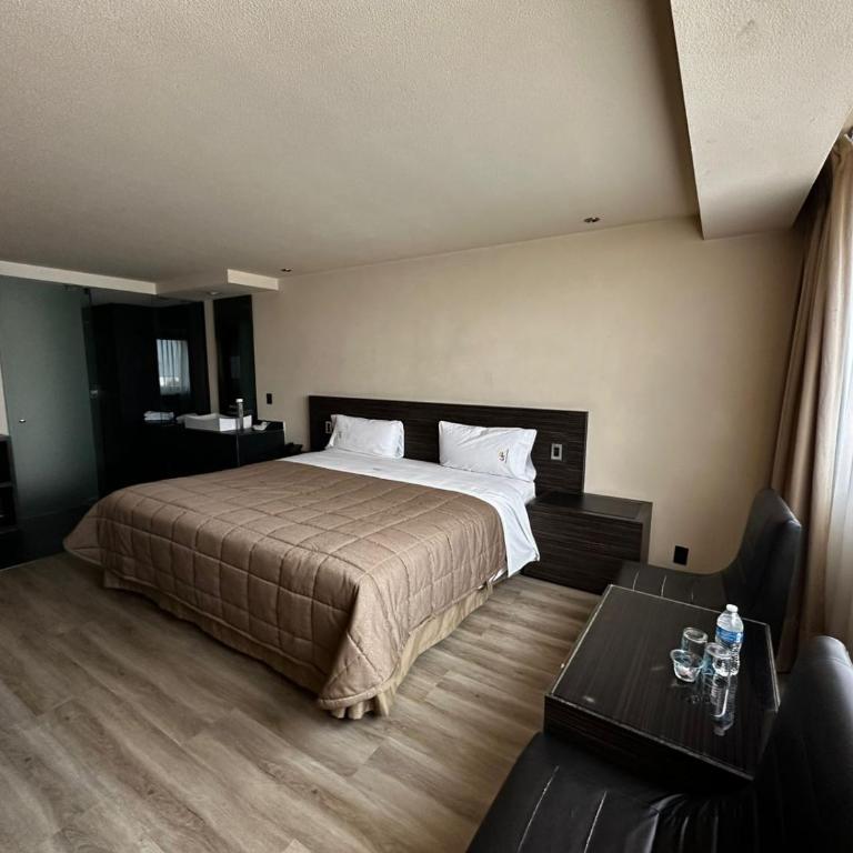 Hotel Amazonas - King Room - 3