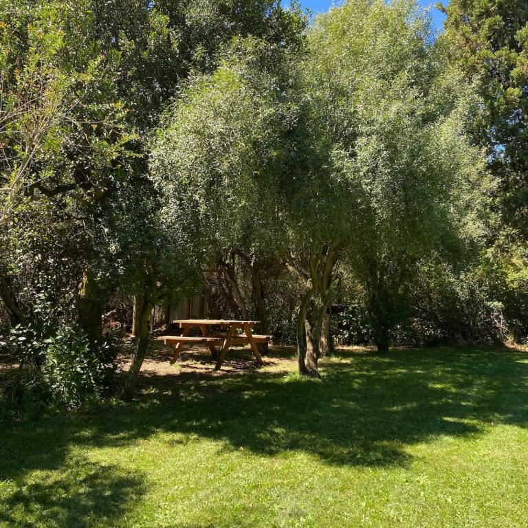 Cabañas Huilqui - Two-Bedroom House - 7