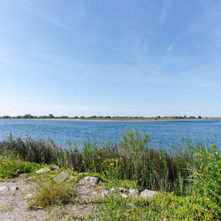 Appartement avec clim, proche lagune - FR-1-409-295 - Apartamento - 16