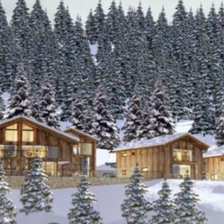 Chalet vue montagne - 12 pers. - FR-1-181-2881 - Chalet - 12