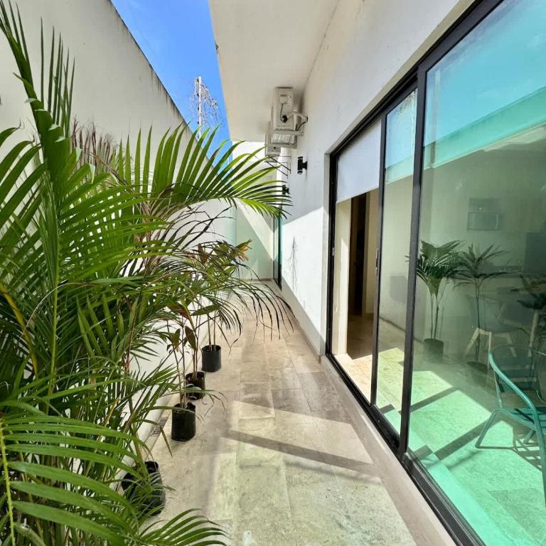 Spacious Ground Floor Apartment - Apartment - 2