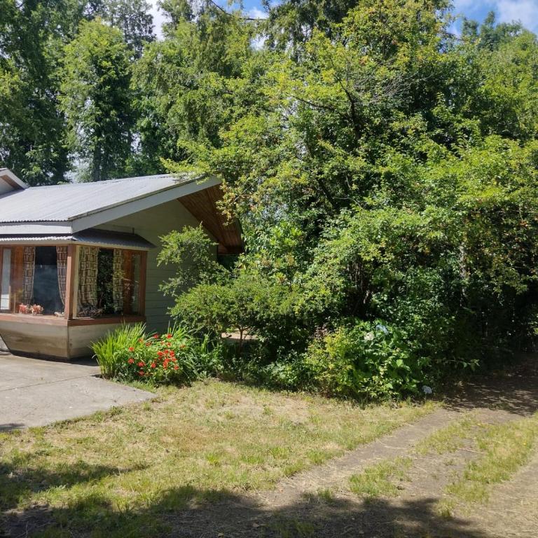 Tu refugio en Mahuida - Two-Bedroom House - 14