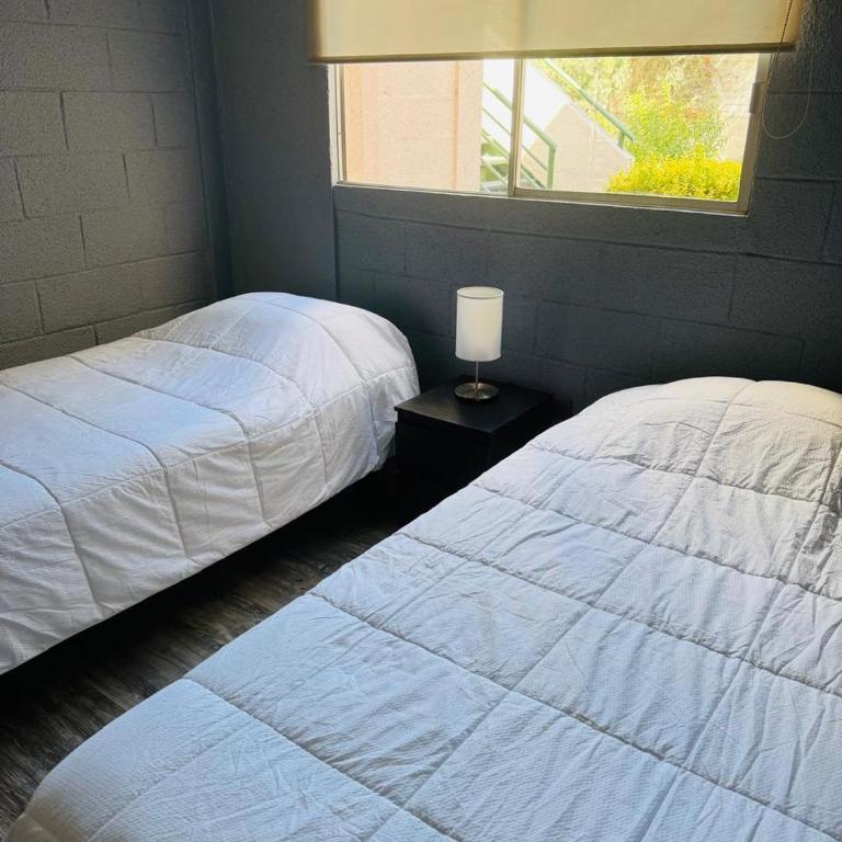 Depto Elqui tranquilo - Two-Bedroom Apartment - 11