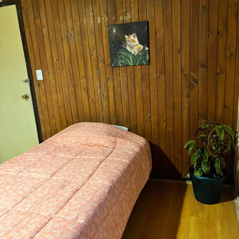 Cochrane hostal - Habitación Individual con baño compartido - 7