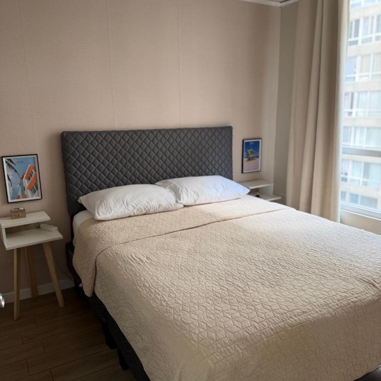 Apartamento en Santiago - One-Bedroom Apartment - 12