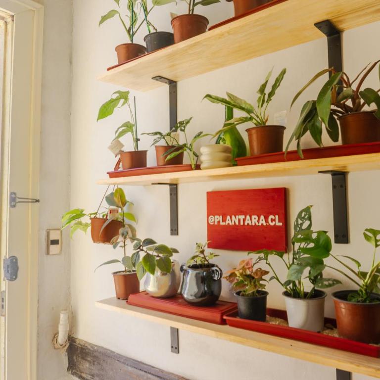 Gatalegre Hostel - Triple Room with Sea View - 4