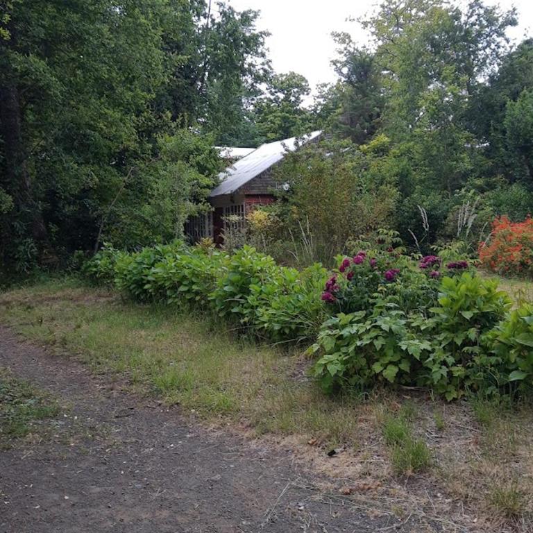 Tu refugio en Mahuida - Three-Bedroom Vacation Home - 18