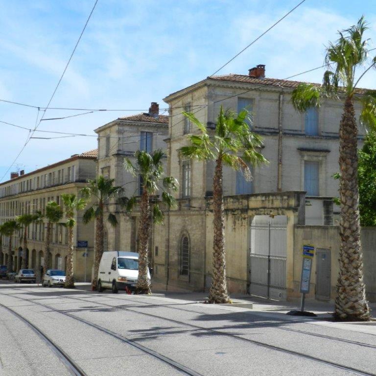 Petit nid douillet centre-ville - Appartement 1 Chambre - 2
