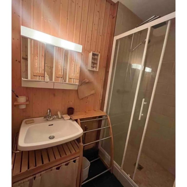 Les Pleiades - Appartement 2 Chambres - 3
