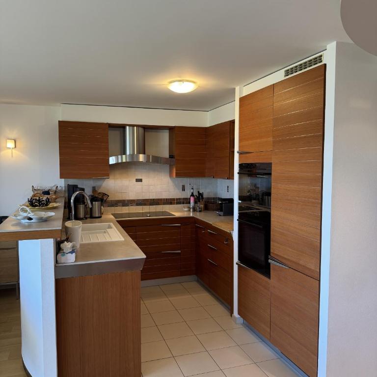 Domaine des Alpes 1 appartement au centre d Anzere - Superior Apartment mit 3 Schlafzimmern - 3