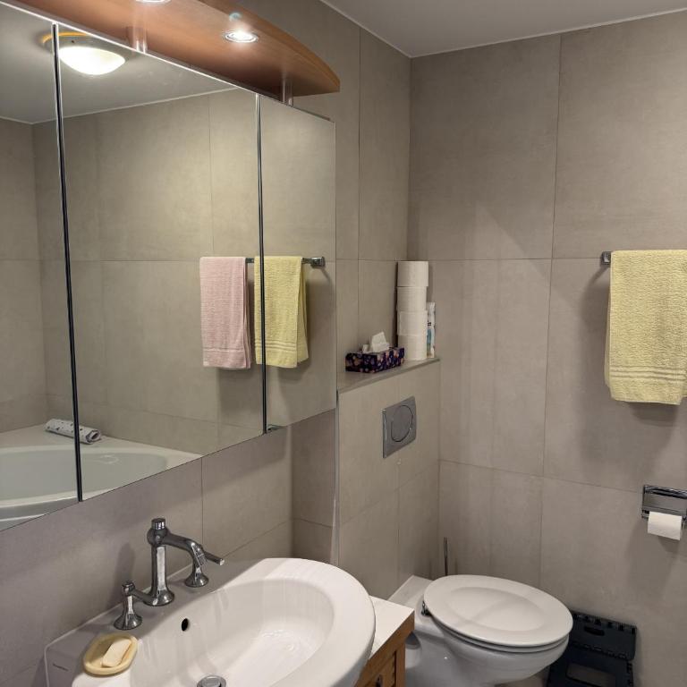 Domaine des Alpes 1 appartement au centre d Anzere - Superior Apartment mit 3 Schlafzimmern - 12