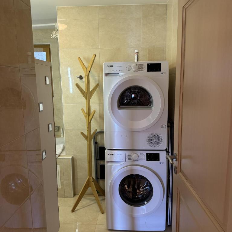 Domaine des Alpes 1 appartement au centre d Anzere - Superior Apartment mit 3 Schlafzimmern - 18
